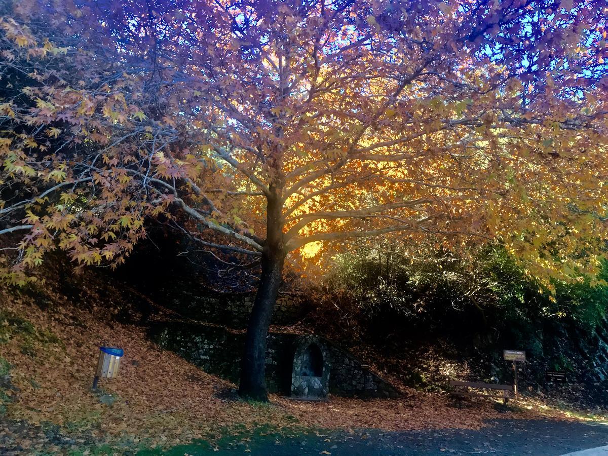 Saint Nicholas Heights Chakistra Luaran gambar